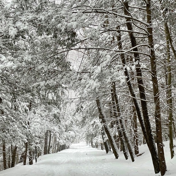 🙂 - Picture 8 of 15